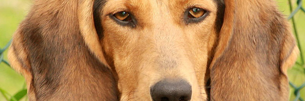 banner-Sorgenkind Mandy