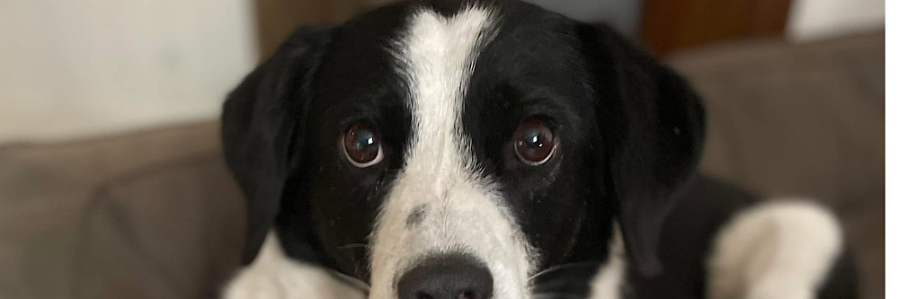 banner-Unser Winnie