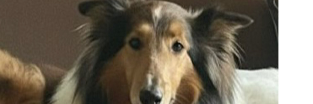 Unsere Nuka